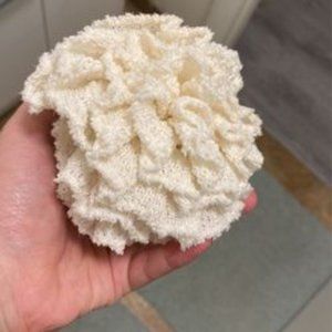 C.A.R.E. Reusable Recycled Sustainable Body Bath Sponges - 2 pack